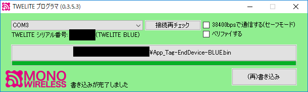 TWE-ProgrammerPainted