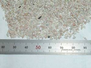 Scale